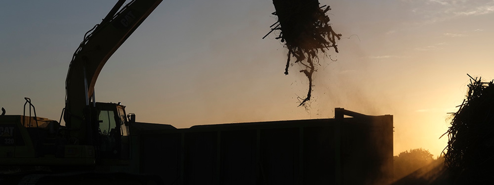 Report maps impact of wine downturn on grape acreage