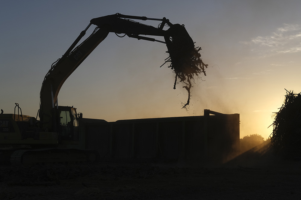 Report maps impact of wine downturn on grape acreage