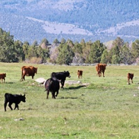 Farm groups: BLM proposal could limit public land uses
