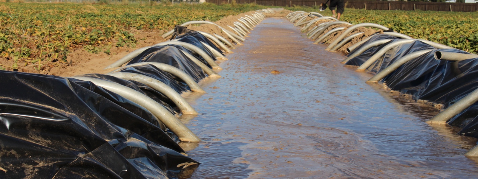 Done right, flooding fields can be efficient