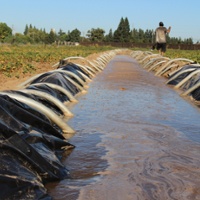 Done right, flooding fields can be efficient