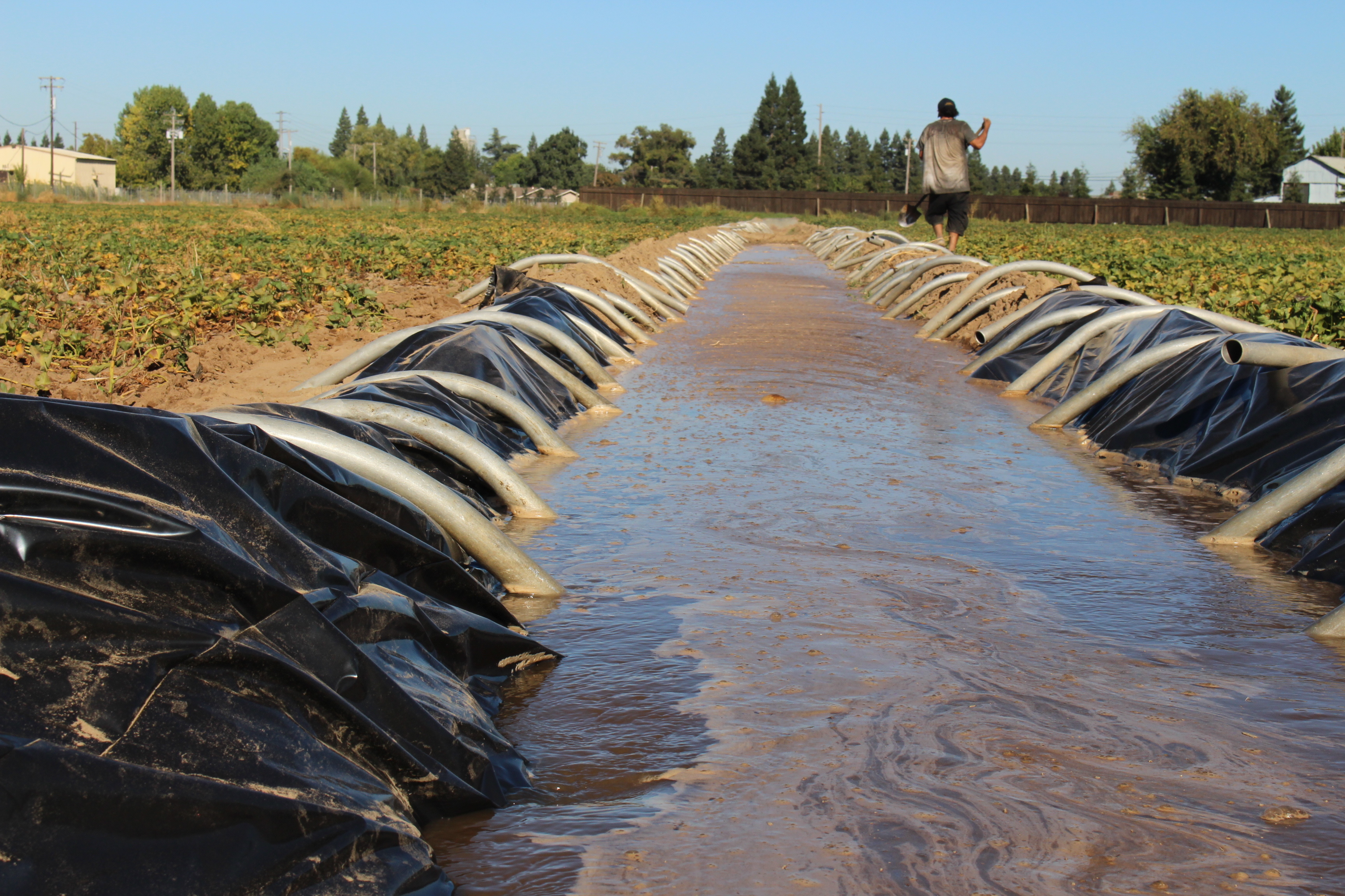 Done right, flooding fields can be efficient