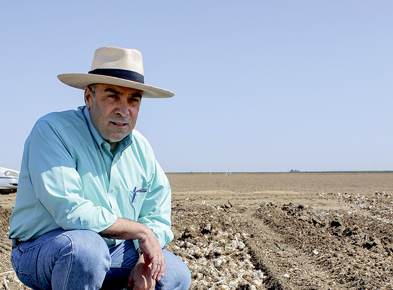 From the Fields: Dan Errotabere, Fresno County farmer