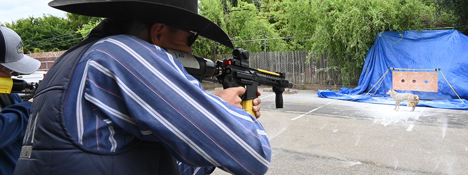 Paintballs among new tools allowed for hazing wolves