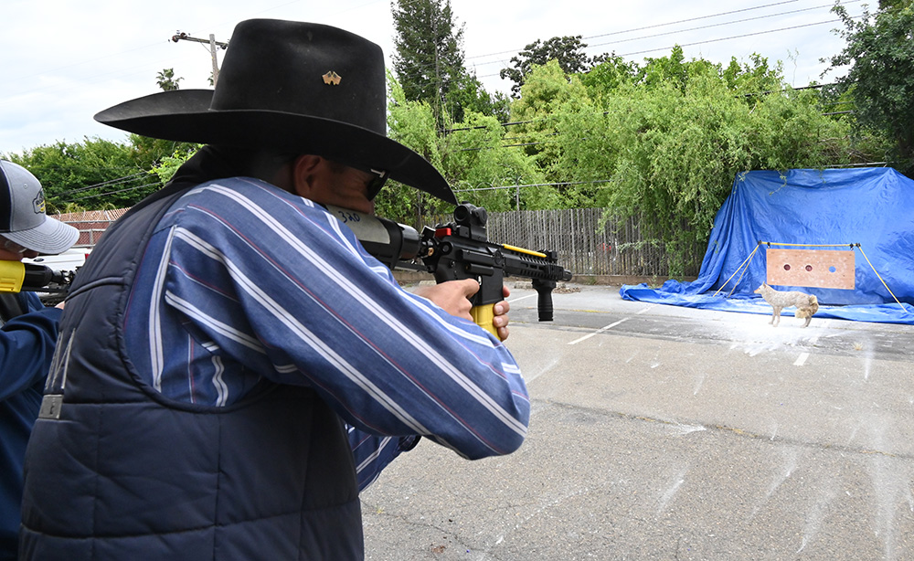 Paintballs among new tools allowed for hazing wolves