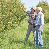 Delta pear farm continues to thrive after 175 years
