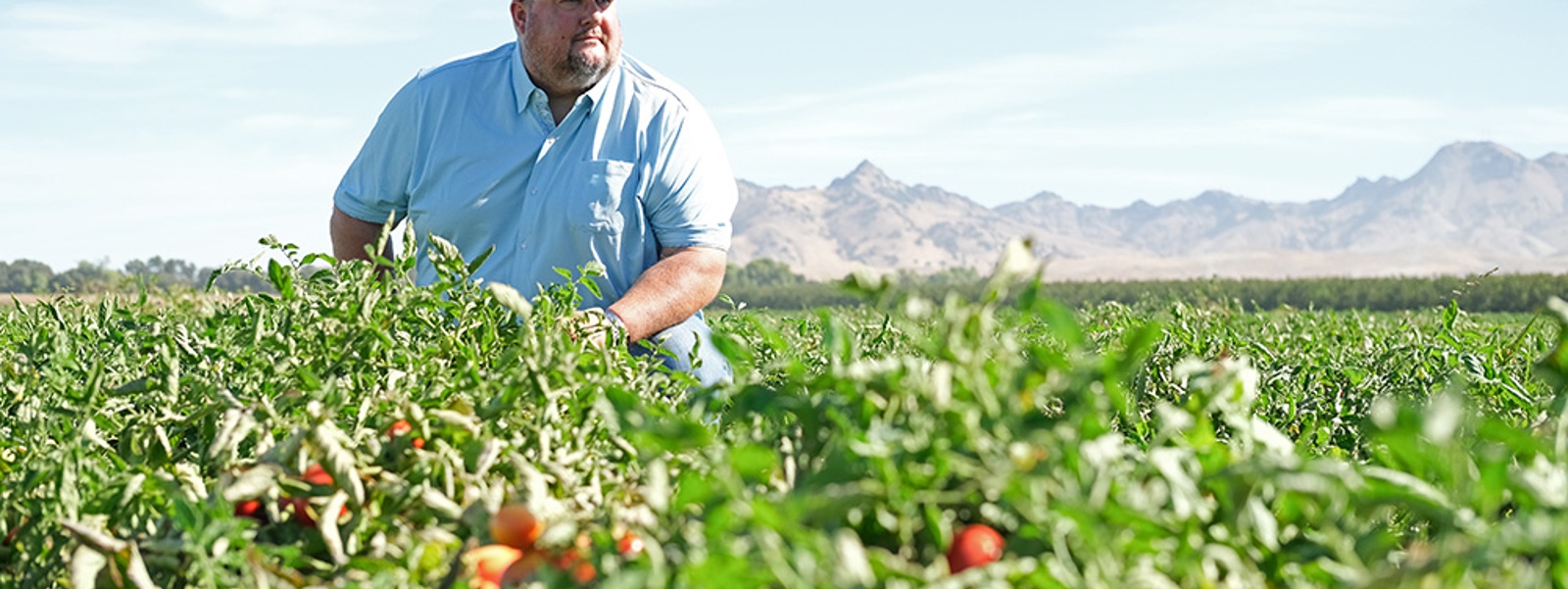 Regenerative label payoff remains murky