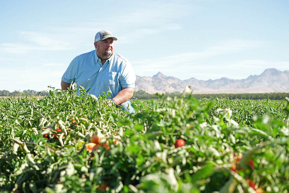 Regenerative label payoff remains murky