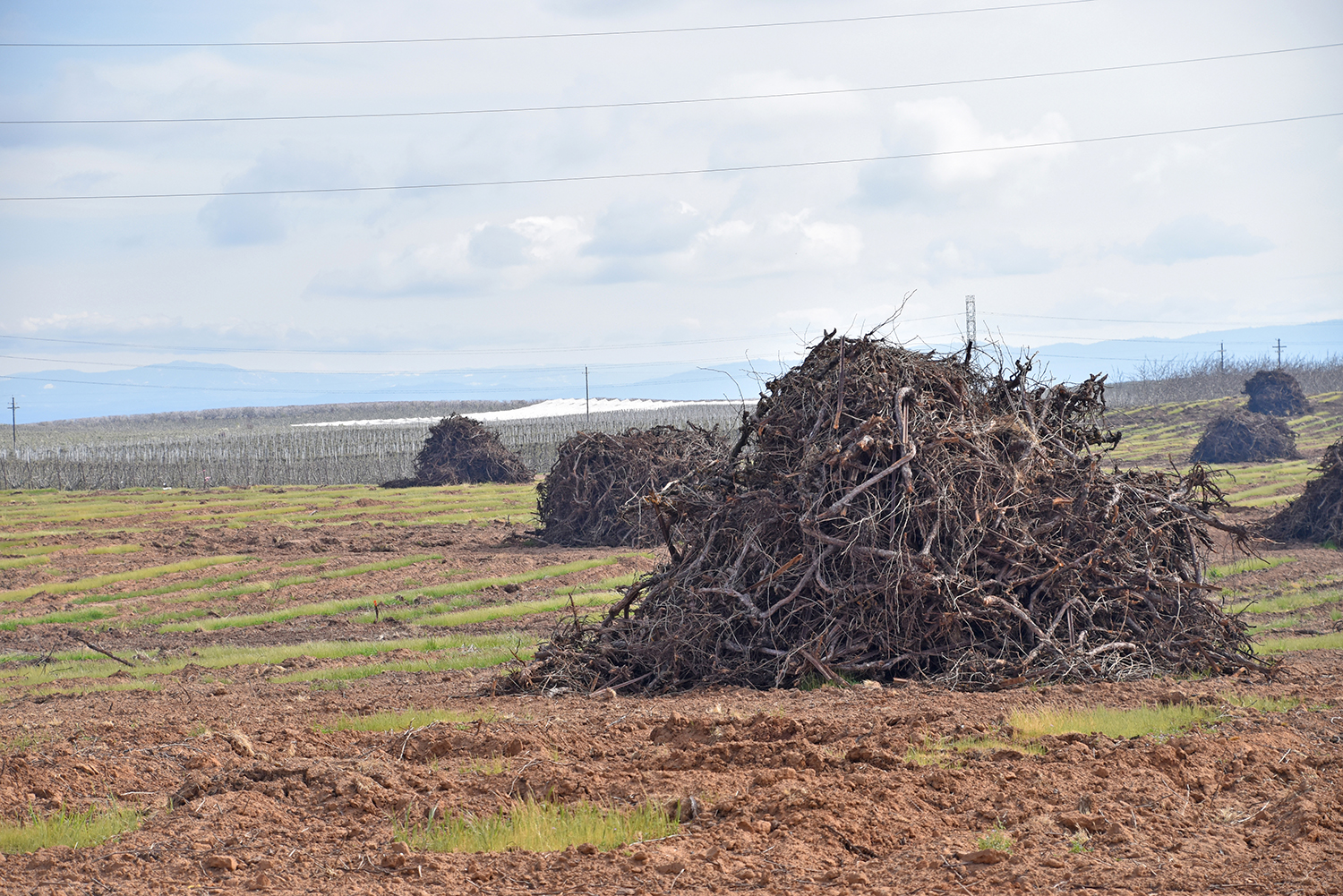 Low prices, other woes put squeeze on farm economy