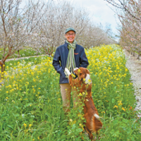 Almond cover crops promote bee-friendly farming