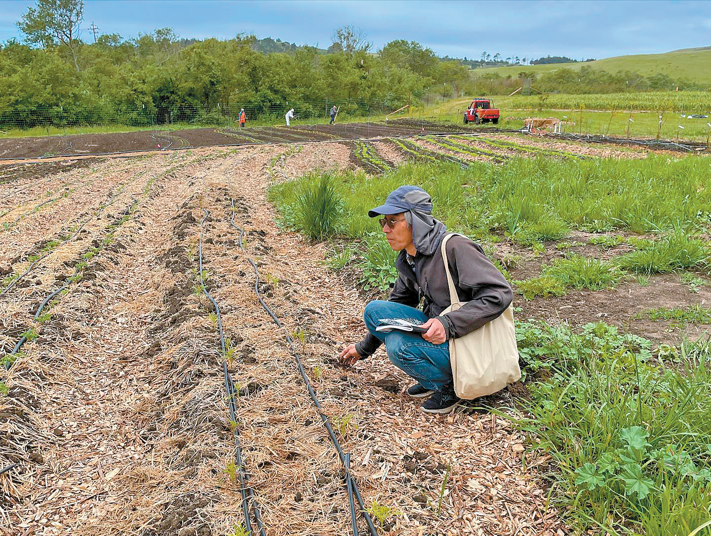 As organic sector thrives, research seeks to catch up