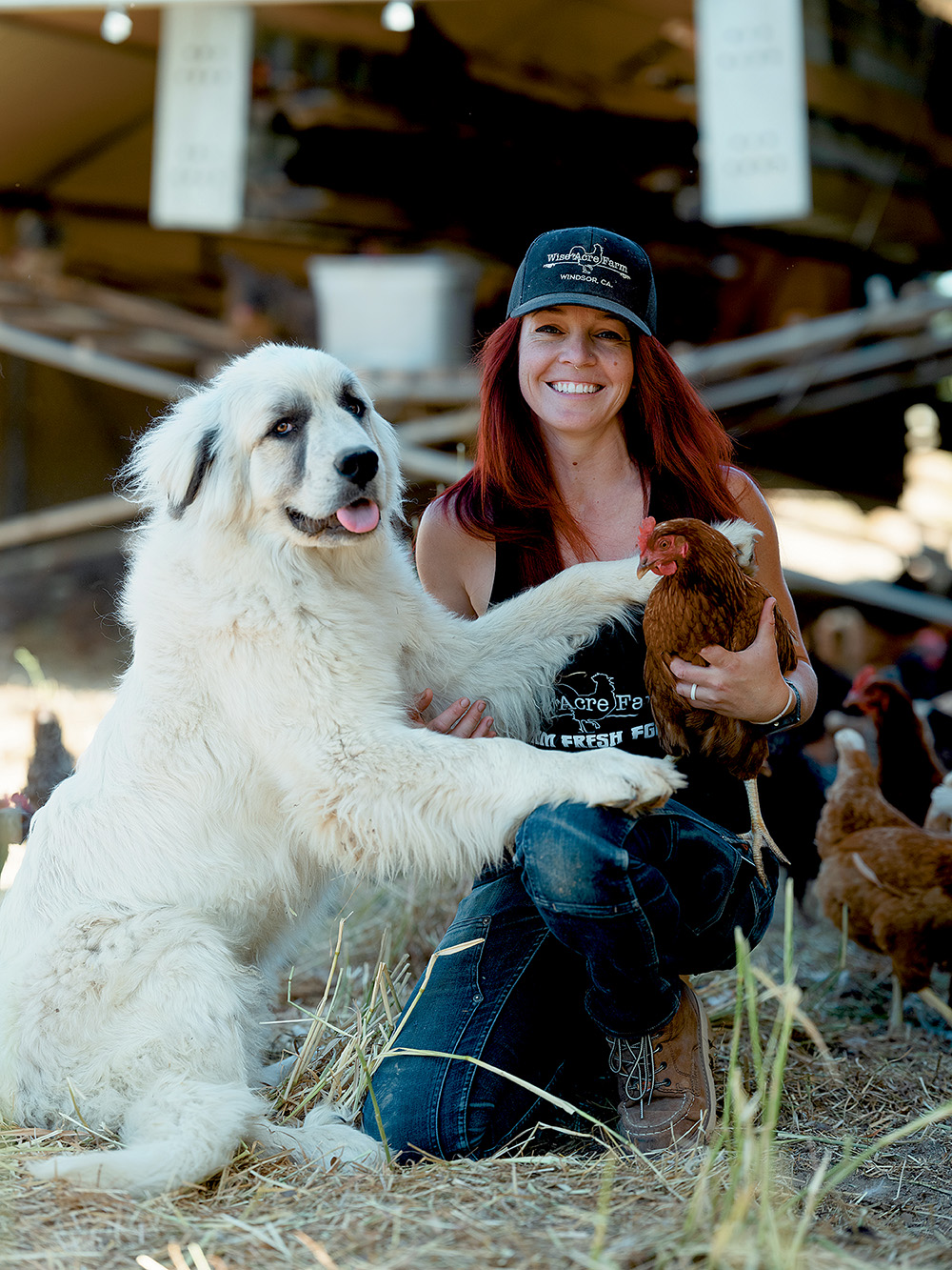 From the Fields: Tiffany Holbrook, Sonoma County egg and poultry producer