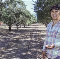 Freeze, drought diminish almond yields