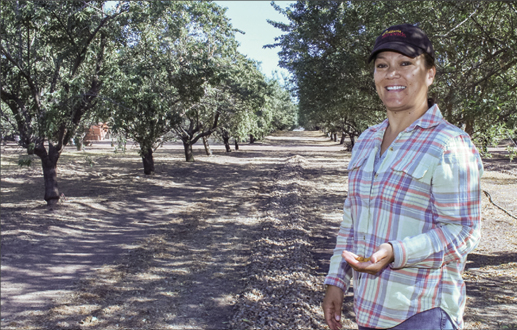 Freeze, drought diminish almond yields