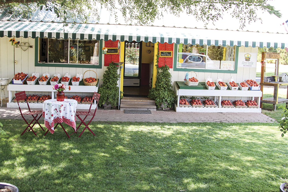 The Scenic Route: Pit stops at California farms and ranches