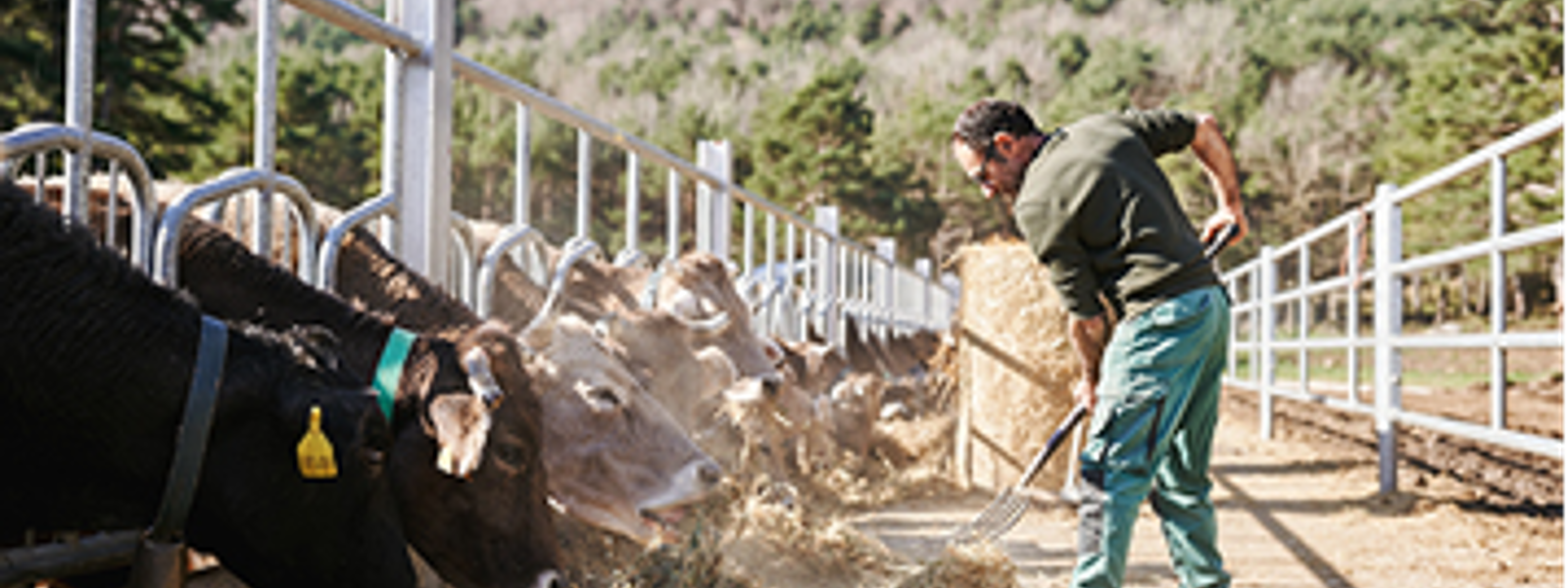 Nationwide News: Market consolidation trend a challenge for small farms