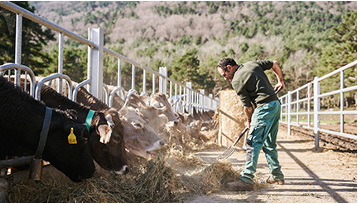 Nationwide News: Market consolidation trend a challenge for small farms