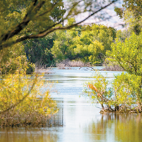 Farmers, water districts to weigh in on flows plan