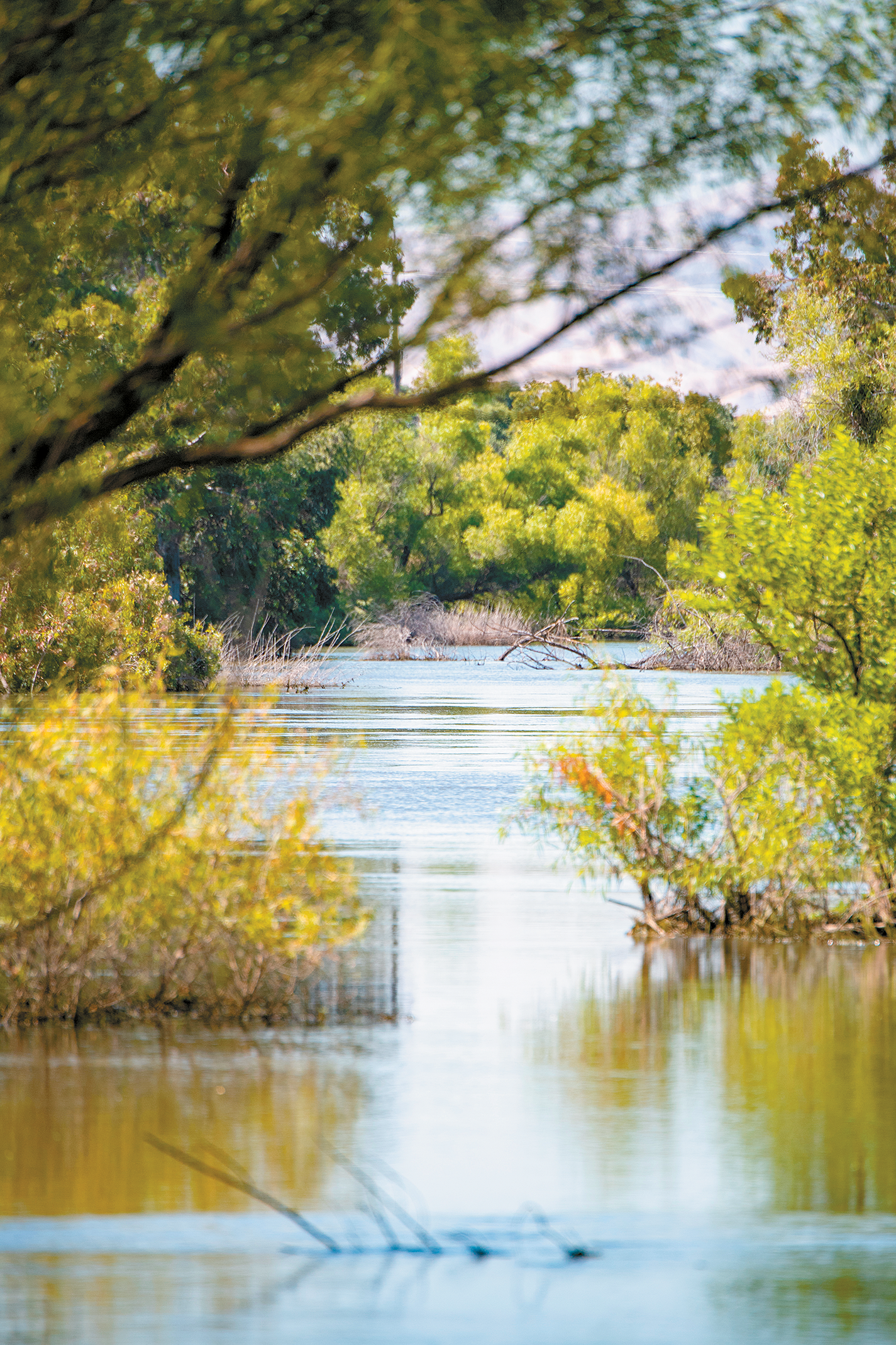 Farmers, water districts to weigh in on flows plan