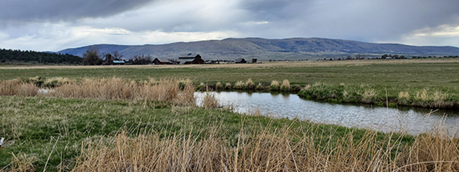 Some forage farmers exempt from state ag order program