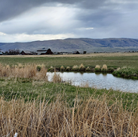 Some forage farmers exempt from state ag order program