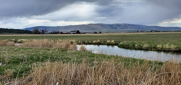 Some forage farmers exempt from state ag order program