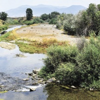 Crops fallowed, herds reduced as drought deepens