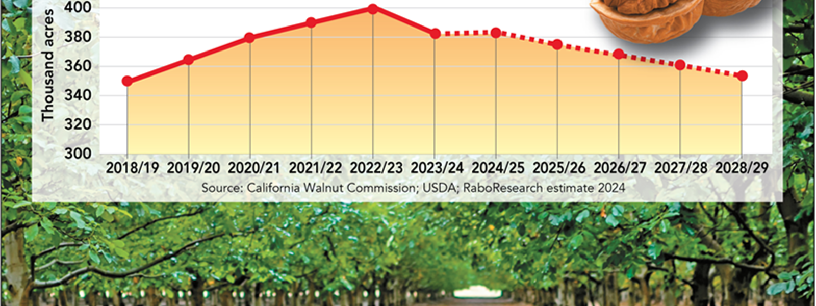 Walnut market recovery may come slowly