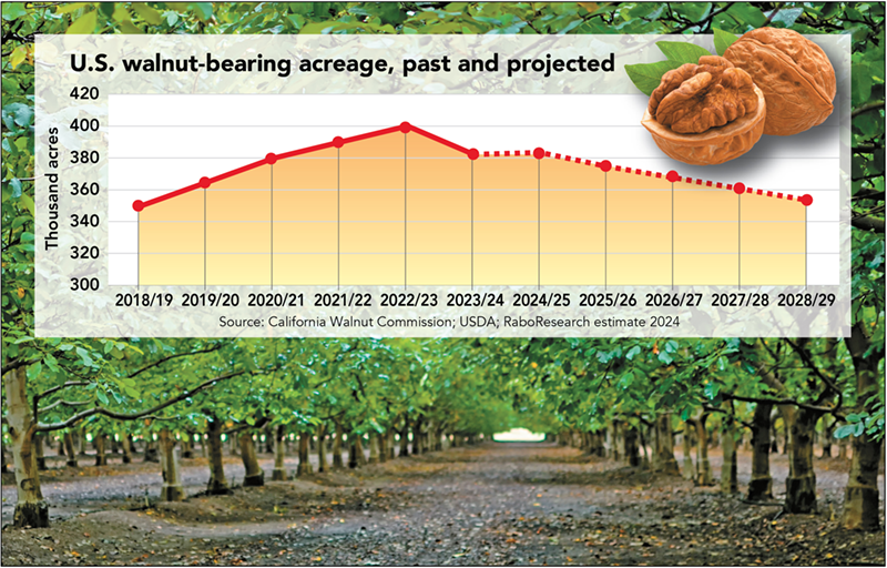 Walnut market recovery may come slowly