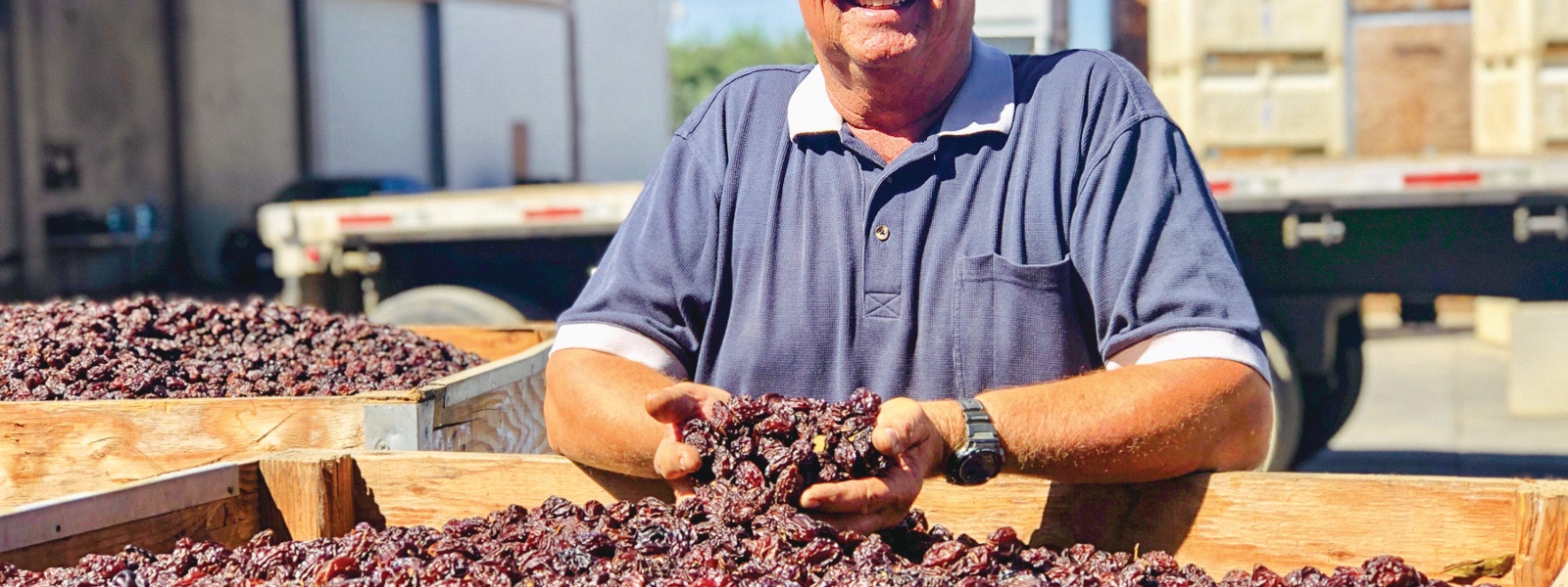 From the Fields: Mike Vereschagin, Glenn County almond and prune grower