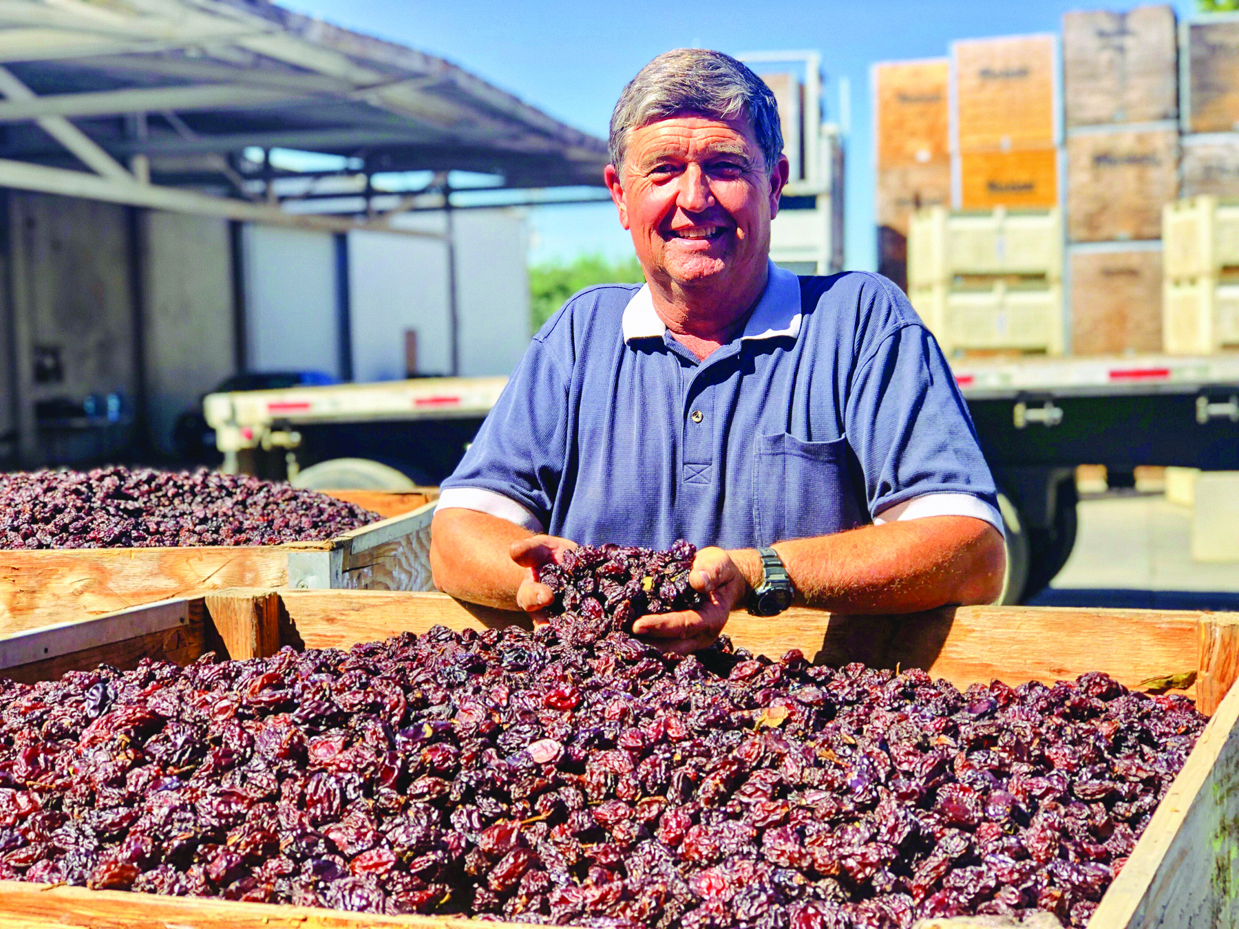 From the Fields: Mike Vereschagin, Glenn County almond and prune grower