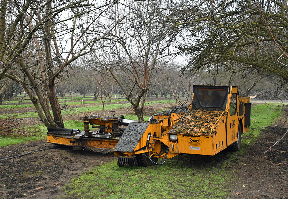 Counties struggle with new abandoned orchard law