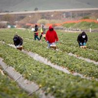 News Briefs: English training, Golden Owl Award and organic committee vacancies