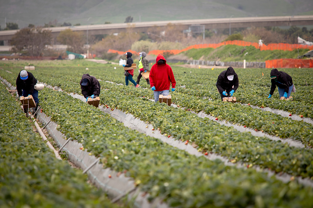 News Briefs: English training, Golden Owl Award and organic committee vacancies