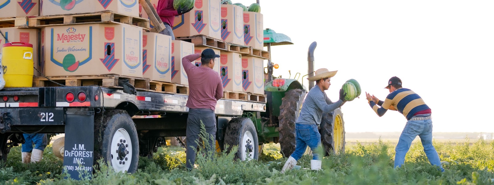 Photo contest winner captures the harvest