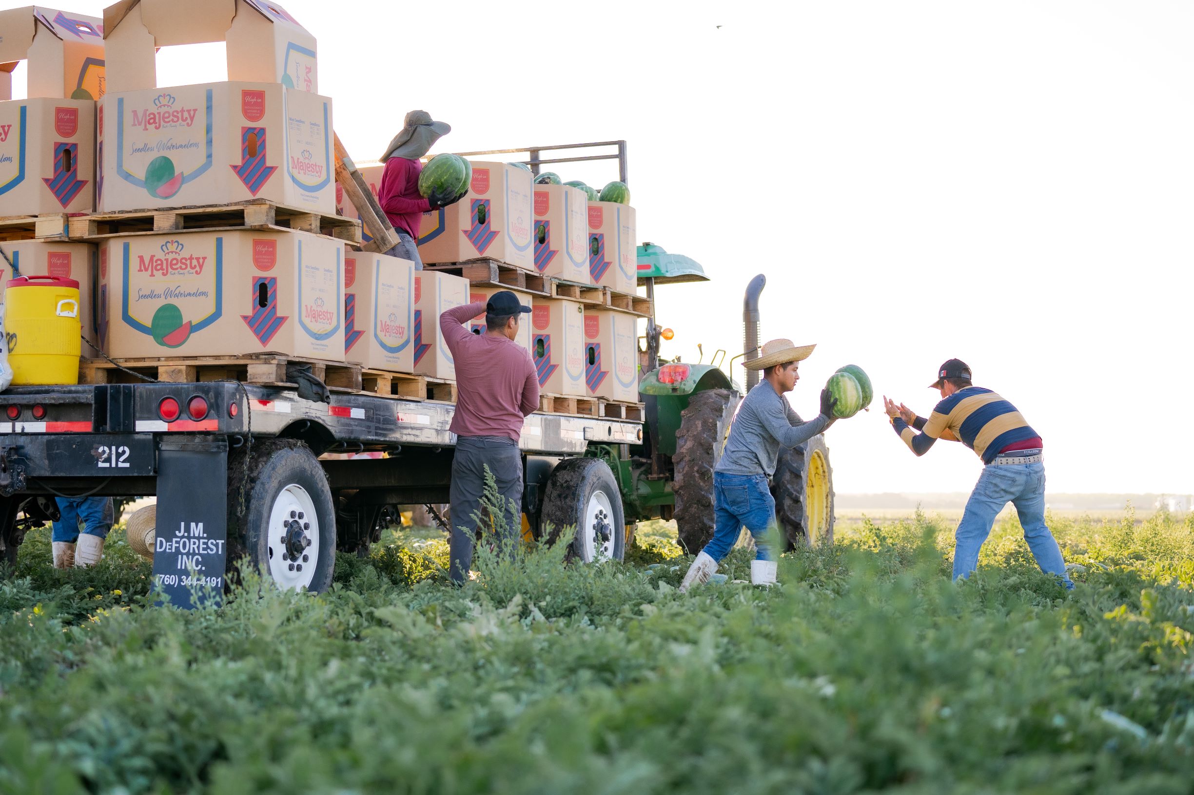 Photo contest winner captures the harvest