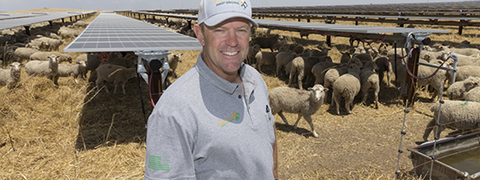 From the Fields: Ryan Indart, Fresno County almond and sheep farmer