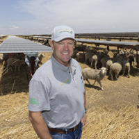 From the Fields: Ryan Indart, Fresno County almond and sheep farmer