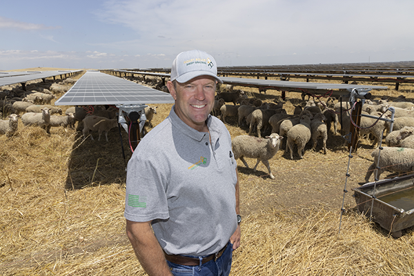 From the Fields: Ryan Indart, Fresno County almond and sheep farmer