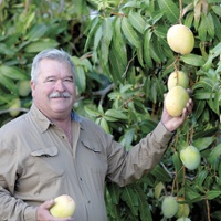 From the Fields: Rod Chamberlain, Riverside County mango and vegetable farmer