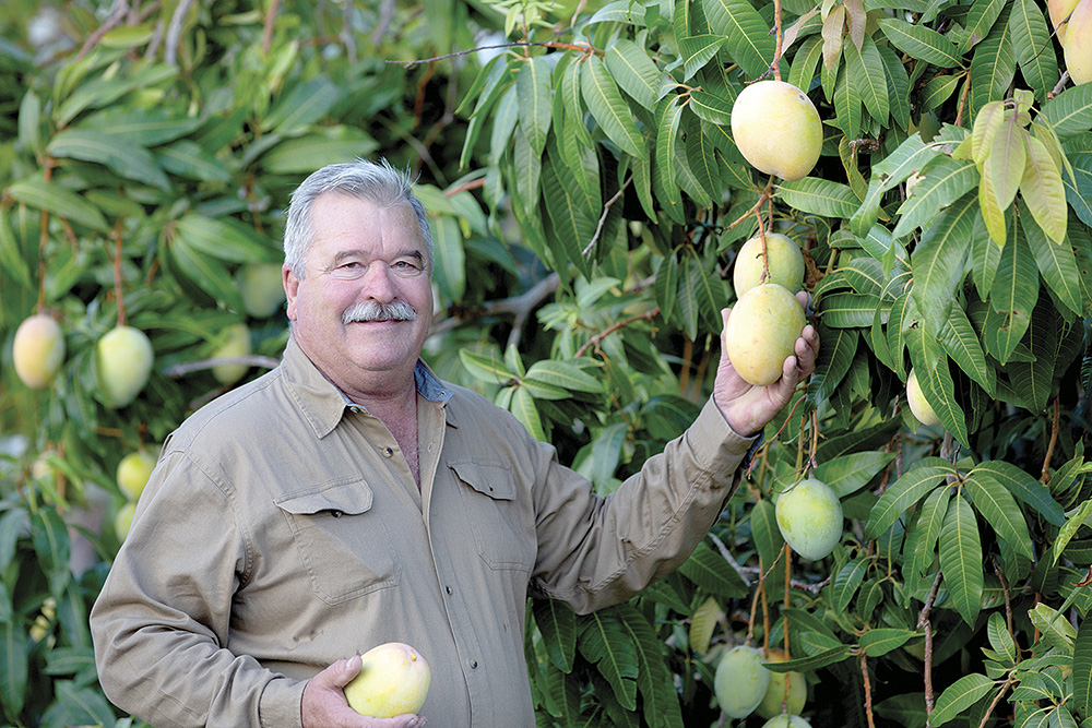 From the Fields: Rod Chamberlain, Riverside County mango and vegetable farmer