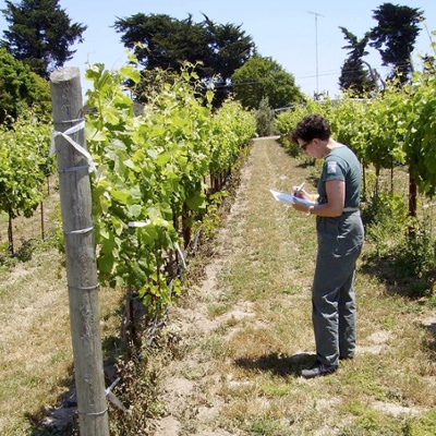 Pest control innovator shares take on biopesticides