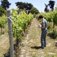 Pest control innovator shares take on biopesticides