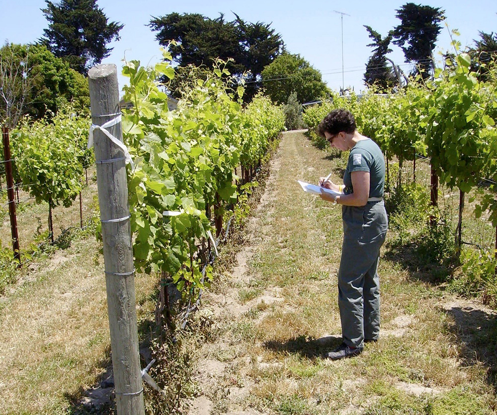 Pest control innovator shares take on biopesticides