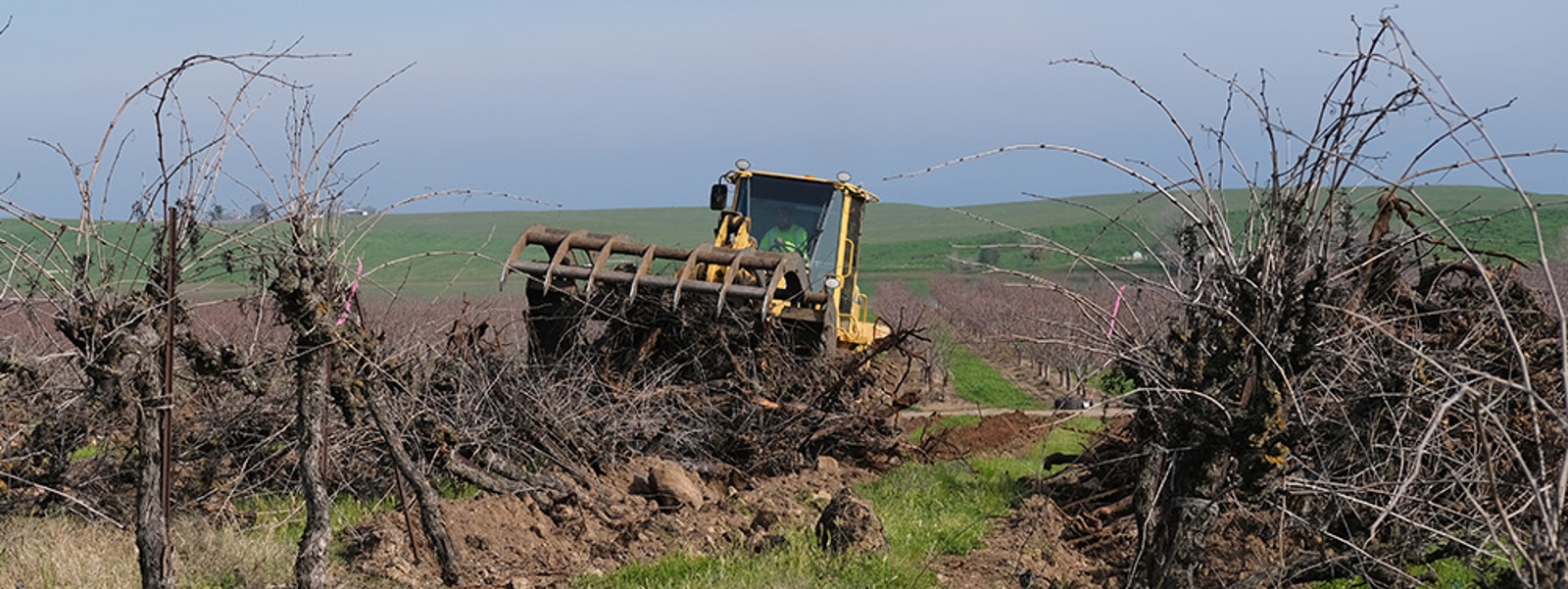 State's farmers seek fairness in trade talks with Canada
