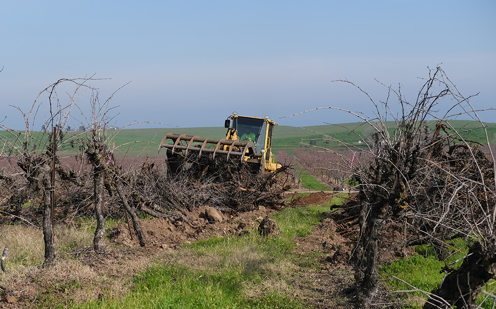 State's farmers seek fairness in trade talks with Canada