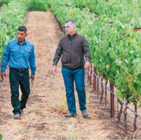 Growers share ideas on drought, 'heartbeat' of vines