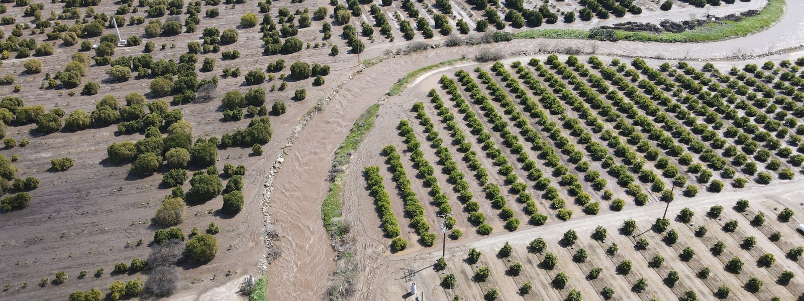 Farms statewide hit by storms and floods
