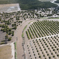 Farms statewide hit by storms and floods