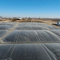 California dairies make progress in cutting emissions